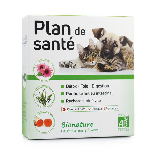 Plan_de_sante